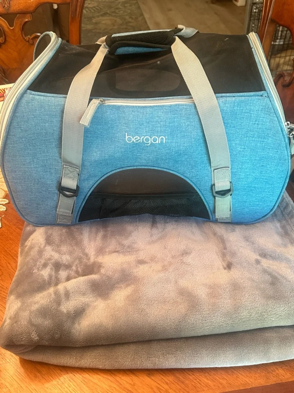 Blue Soft-Sided Pet Carrier with Gray Straps